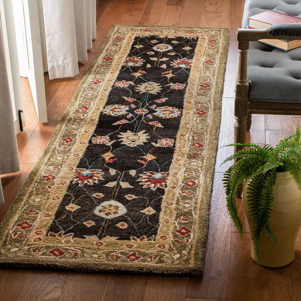 Safavieh Anatolia Rug Collection AN561C - Black / Green