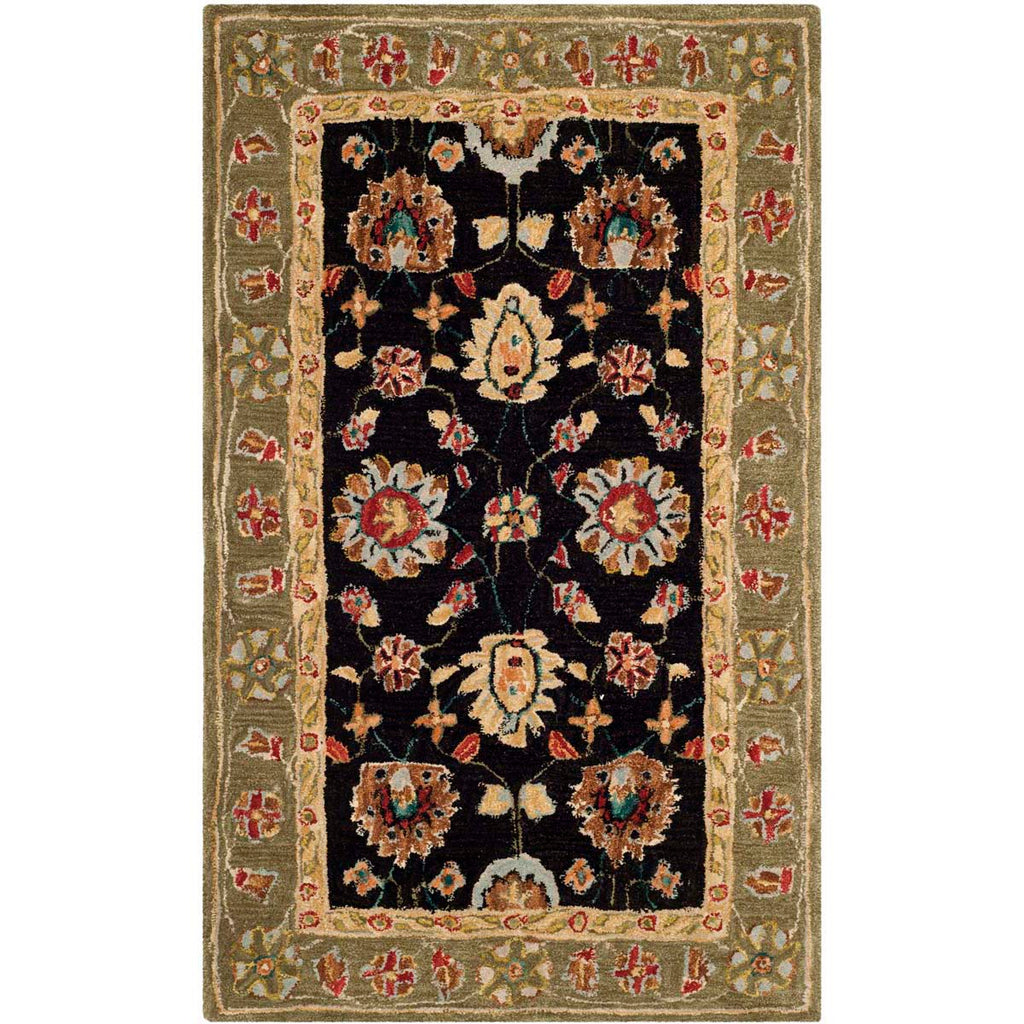 Safavieh Anatolia Rug Collection AN561C - Black / Green