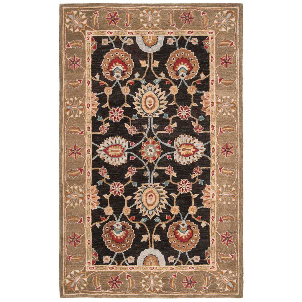 Safavieh Anatolia Rug Collection AN561C - Black / Green