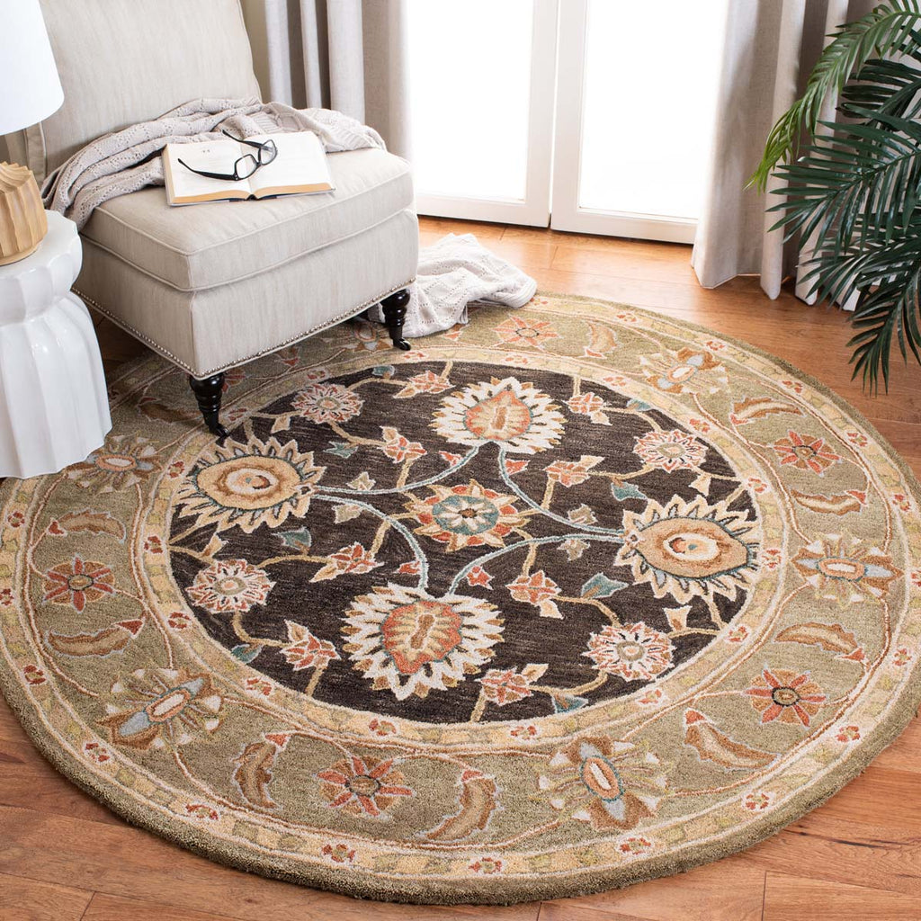 Safavieh Anatolia Rug Collection AN561C - Black / Green