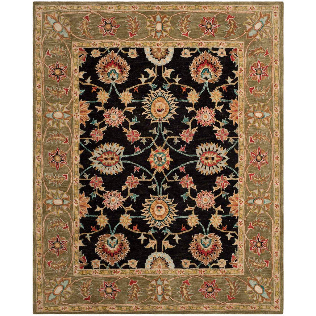 Safavieh Anatolia Rug Collection AN561C - Black / Green