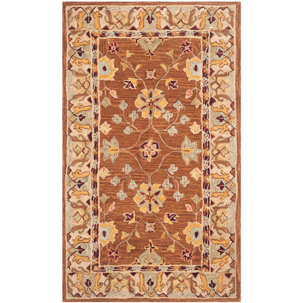 Safavieh Anatolia Rug Collection AN562B - Tan / Ivory