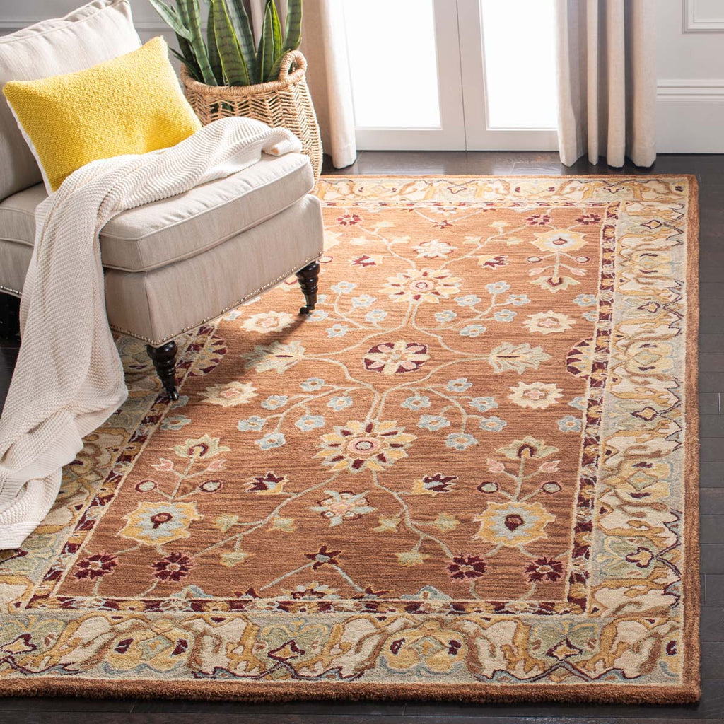 Safavieh Anatolia Rug Collection AN562B - Tan / Ivory