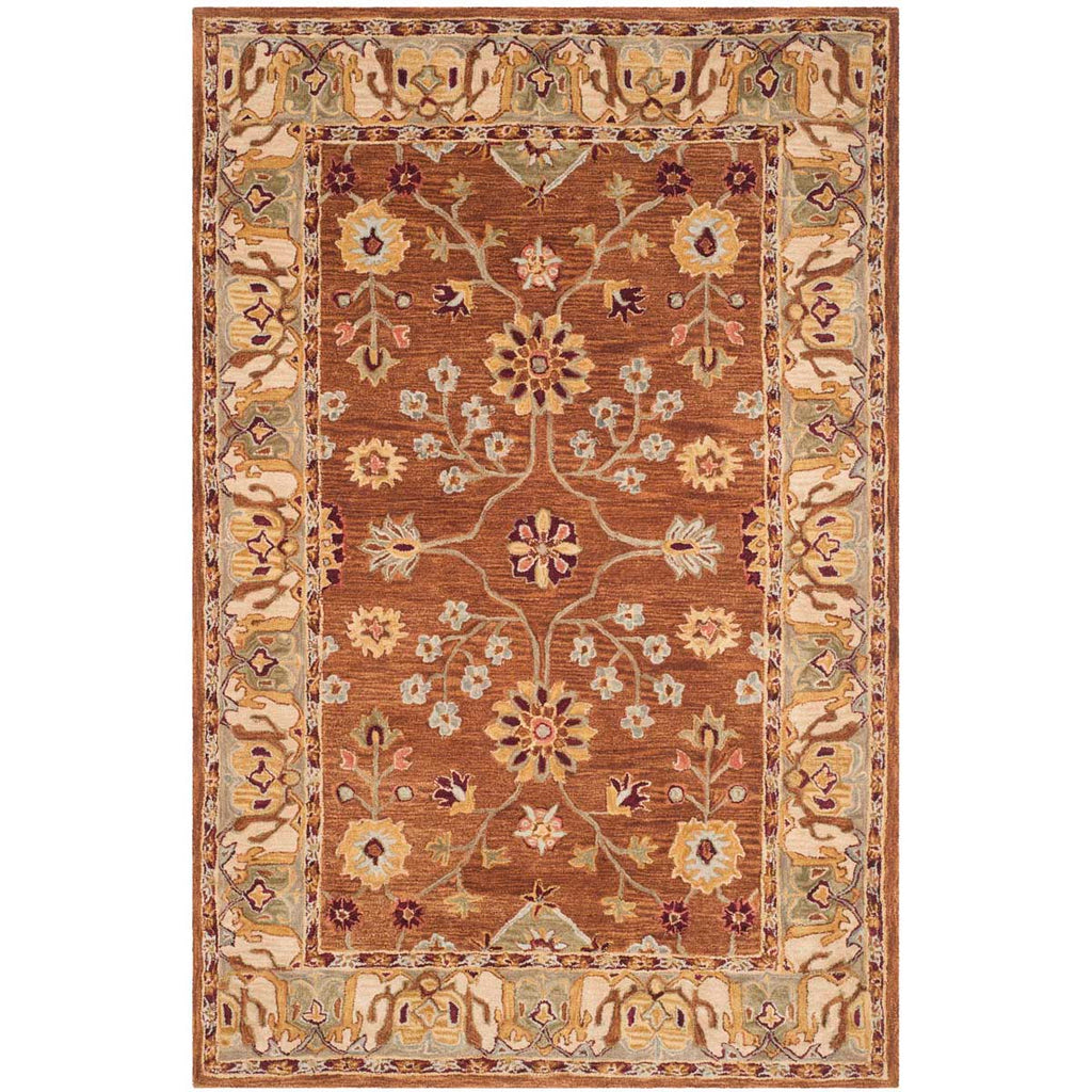 Safavieh Anatolia Rug Collection AN562B - Tan / Ivory