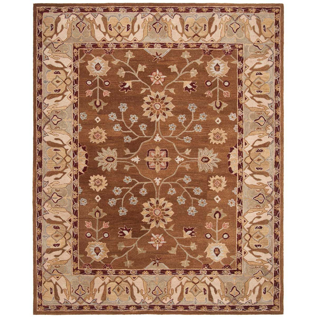 Safavieh Anatolia Rug Collection AN562B - Tan / Ivory