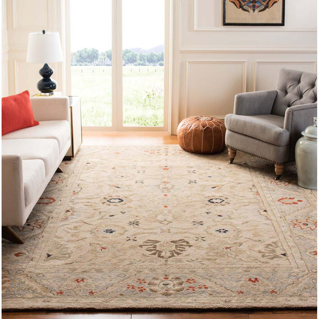 Safavieh Anatolia Rug Collection AN569C - Natural / Soft Turquoise