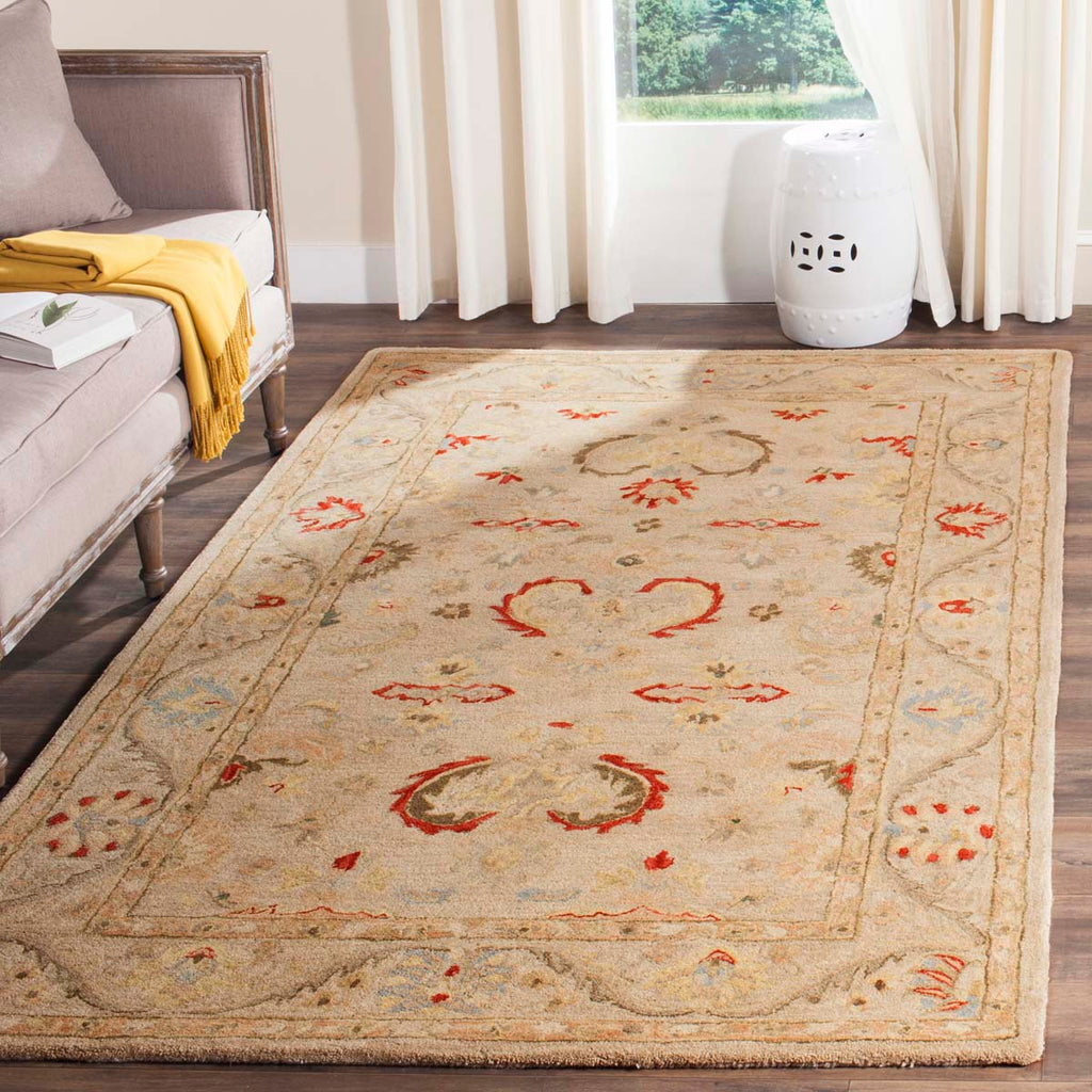 Safavieh Anatolia Rug Collection AN570A - Beige / Beige