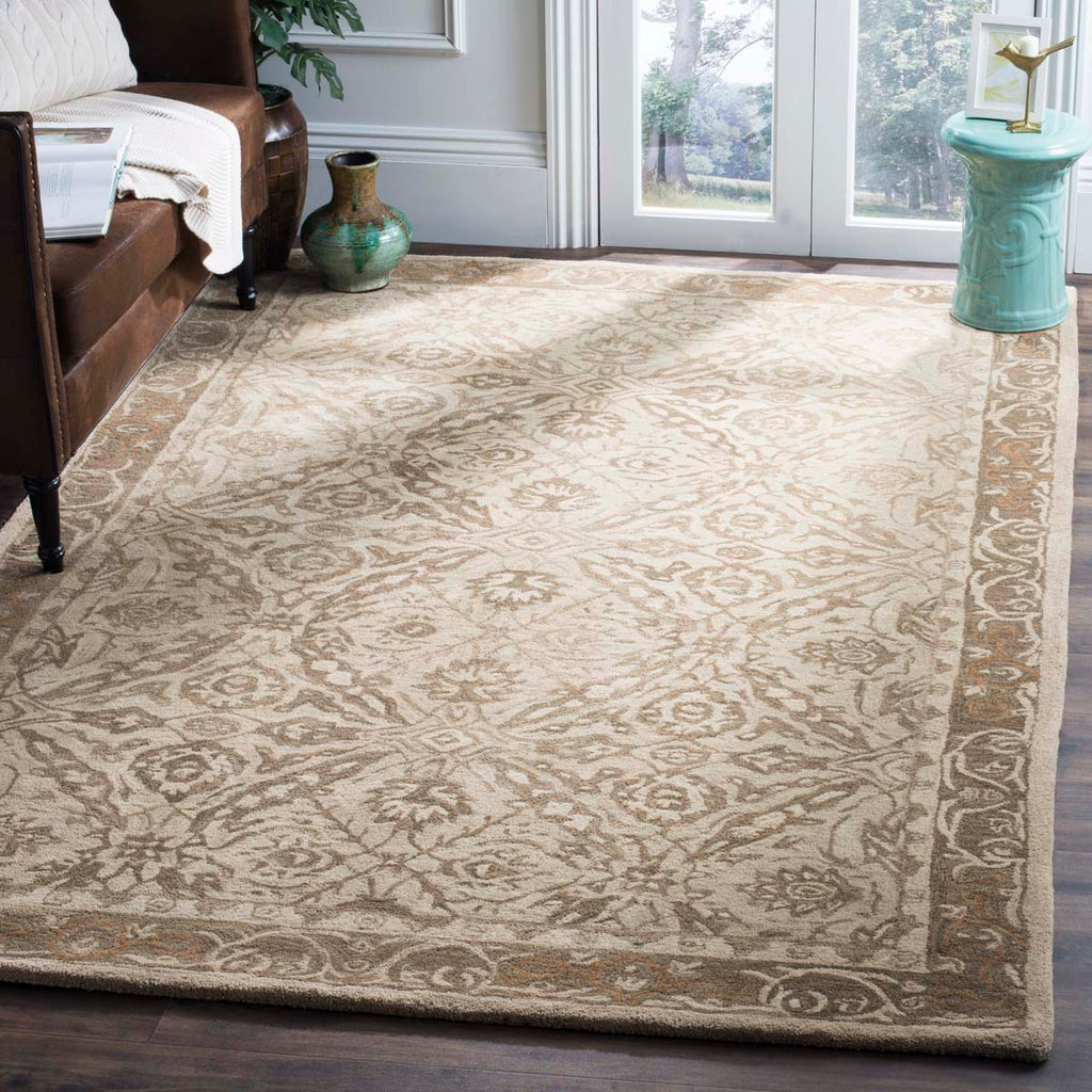 Safavieh Anatolia Rug Collection AN583C - Ivory / Brown