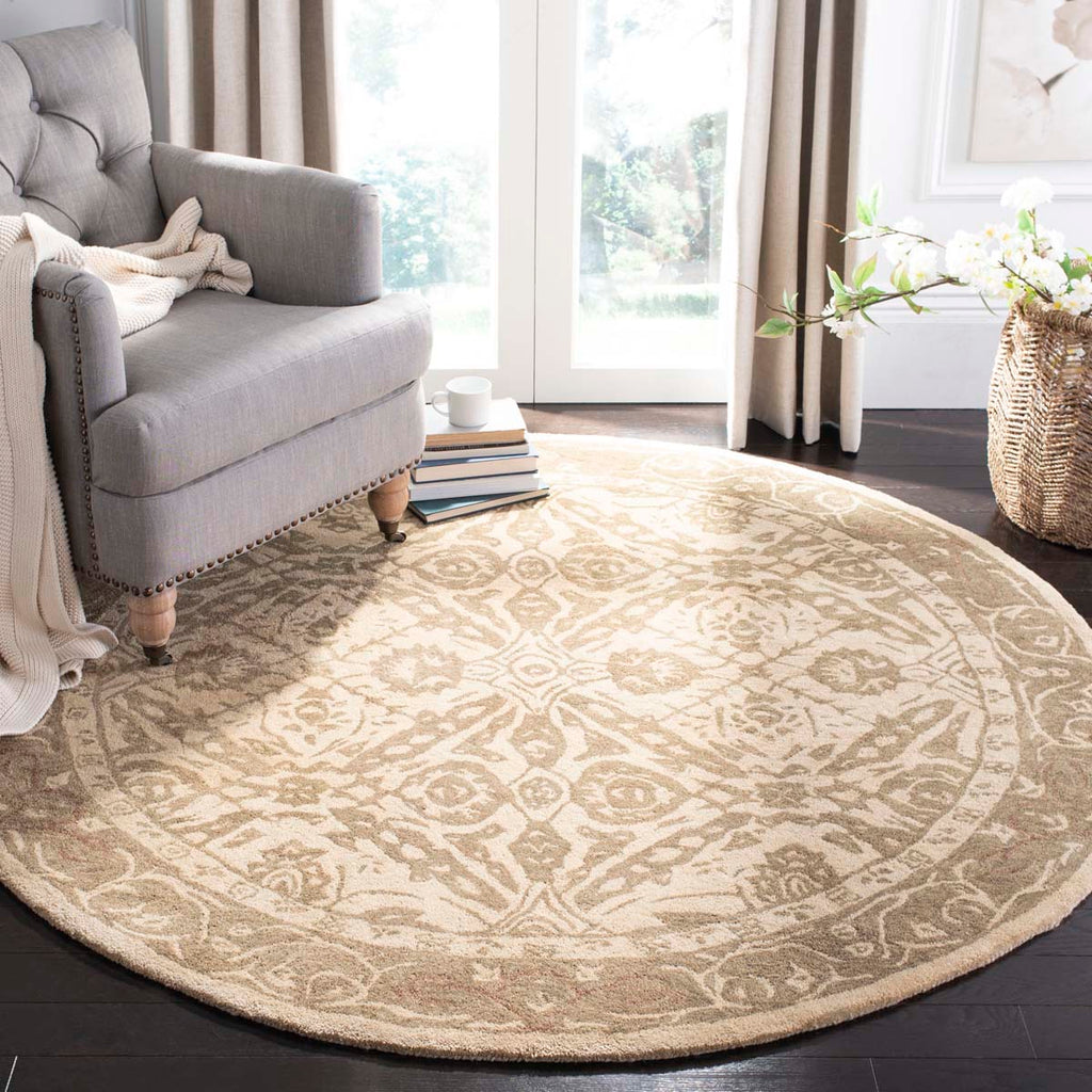 Safavieh Anatolia Rug Collection AN583C - Ivory / Brown