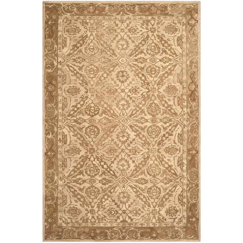 Safavieh Anatolia Rug Collection AN583C - Ivory / Brown