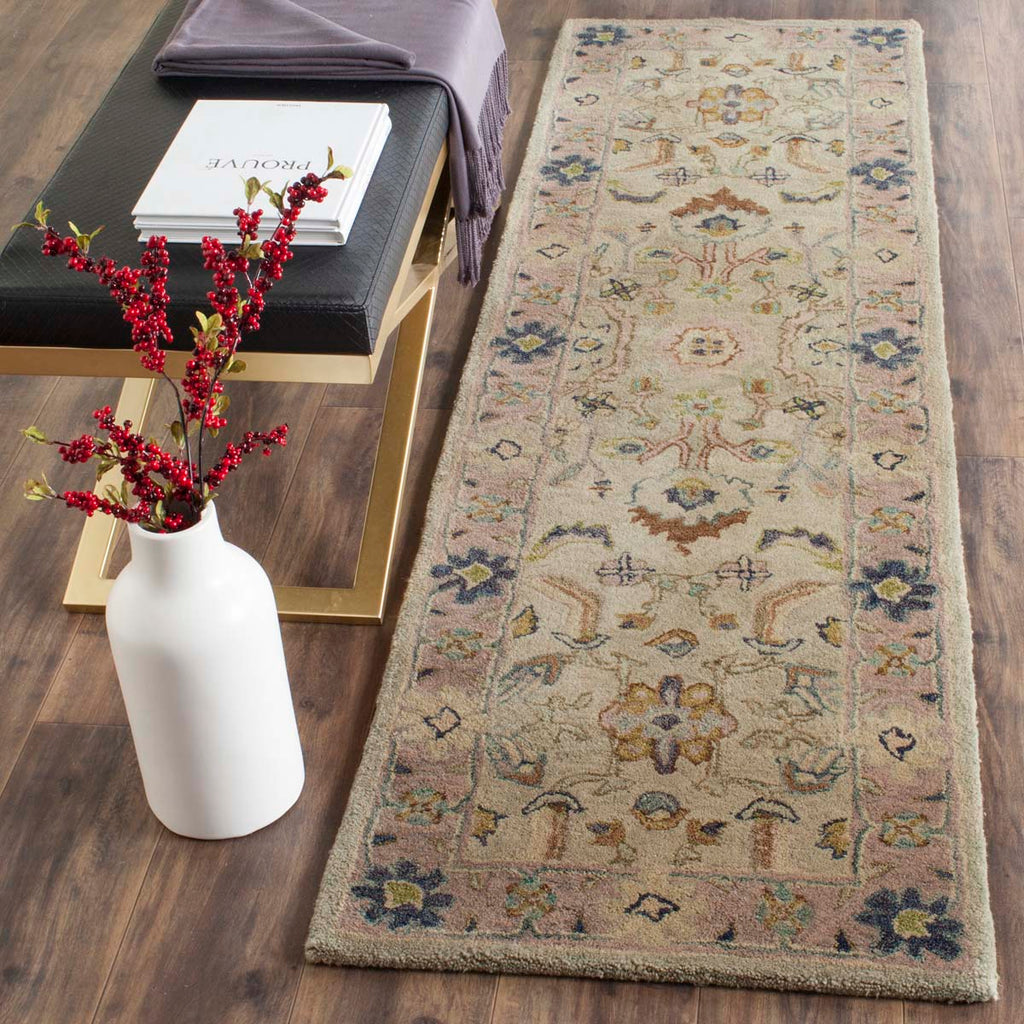 Safavieh Anatolia Rug Collection AN585B - Ivory / Beige