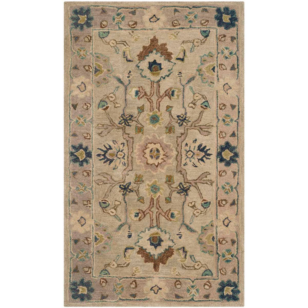 Safavieh Anatolia Rug Collection AN585B - Ivory / Beige