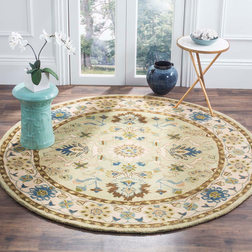 Safavieh Anatolia Rug Collection AN585B - Ivory / Beige