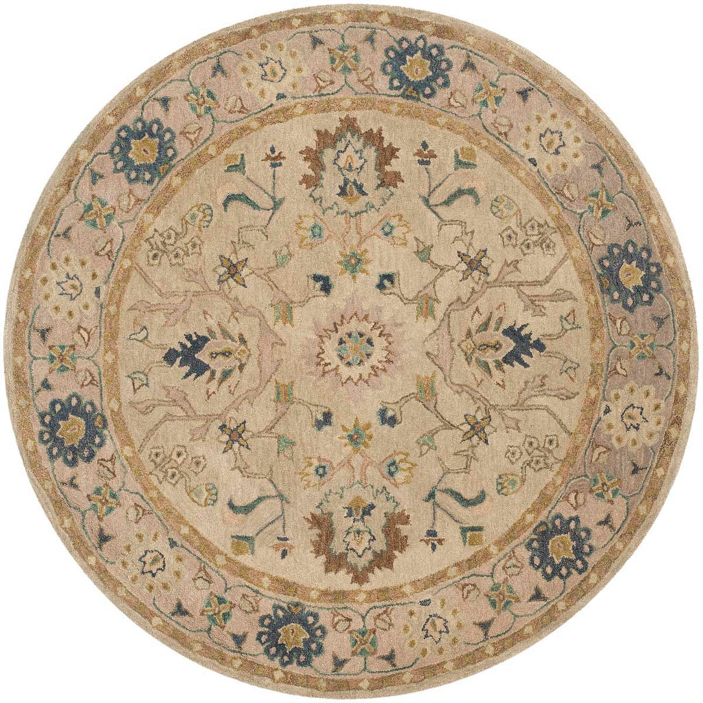 Safavieh Anatolia Rug Collection AN585B - Ivory / Beige