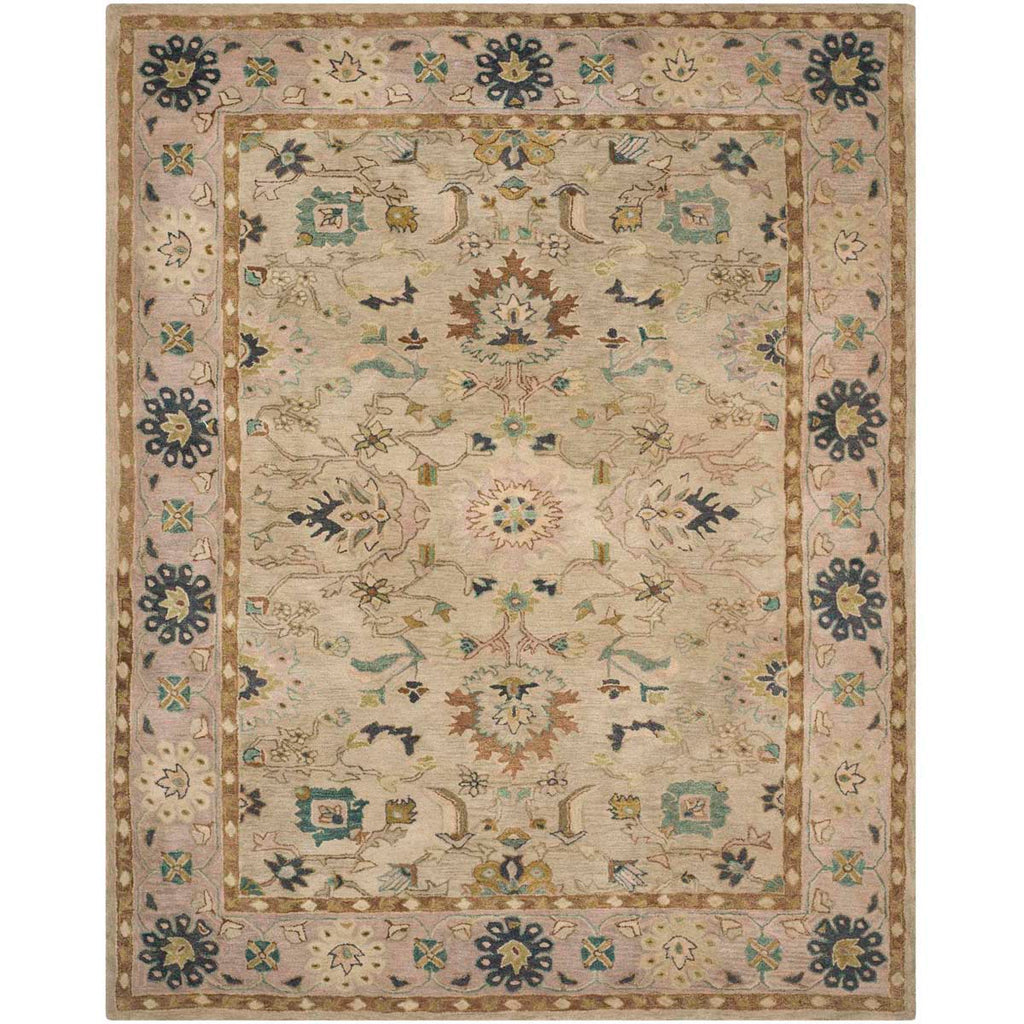 Safavieh Anatolia Rug Collection AN585B - Ivory / Beige