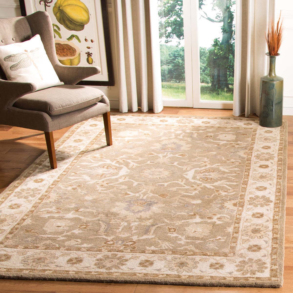 Safavieh Anatolia Rug Collection AN585F - Tan / Ivory