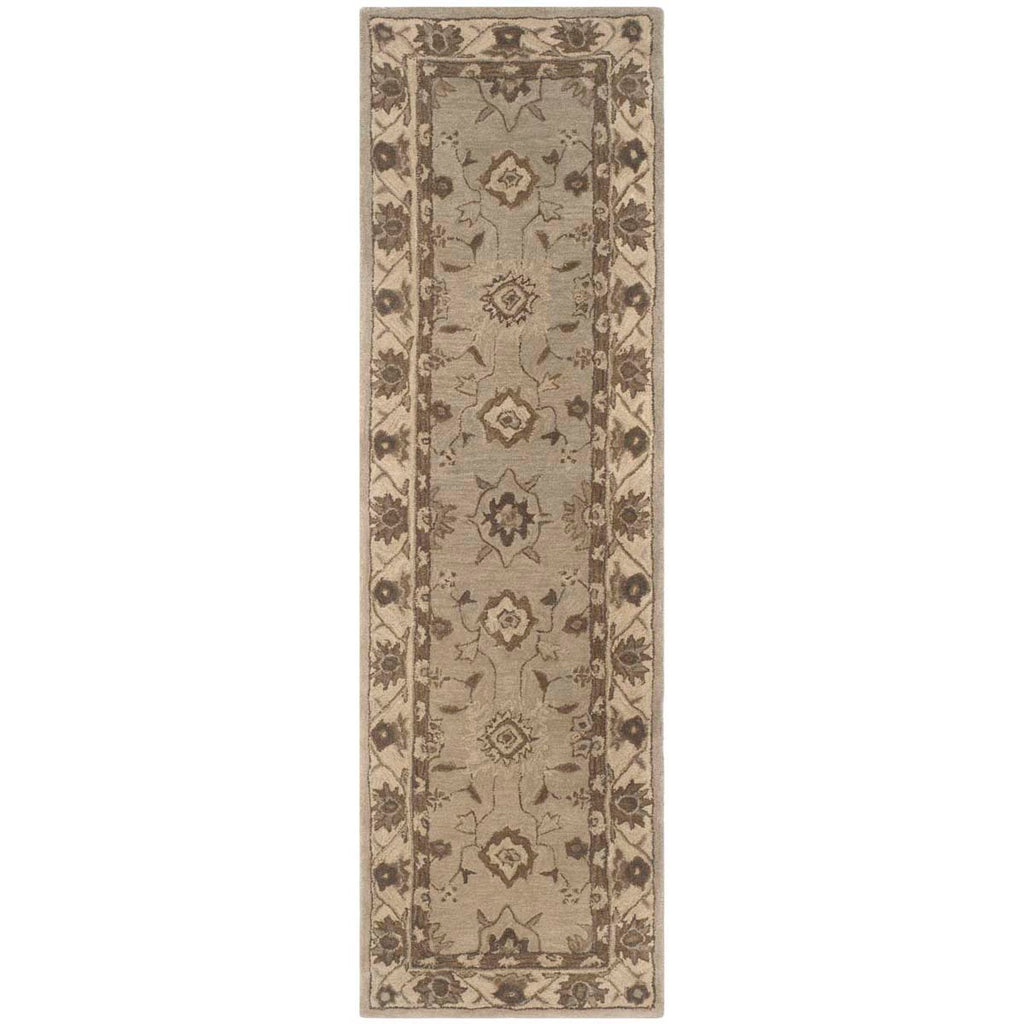 Safavieh Anatolia Rug Collection AN586G - Beige / Beige