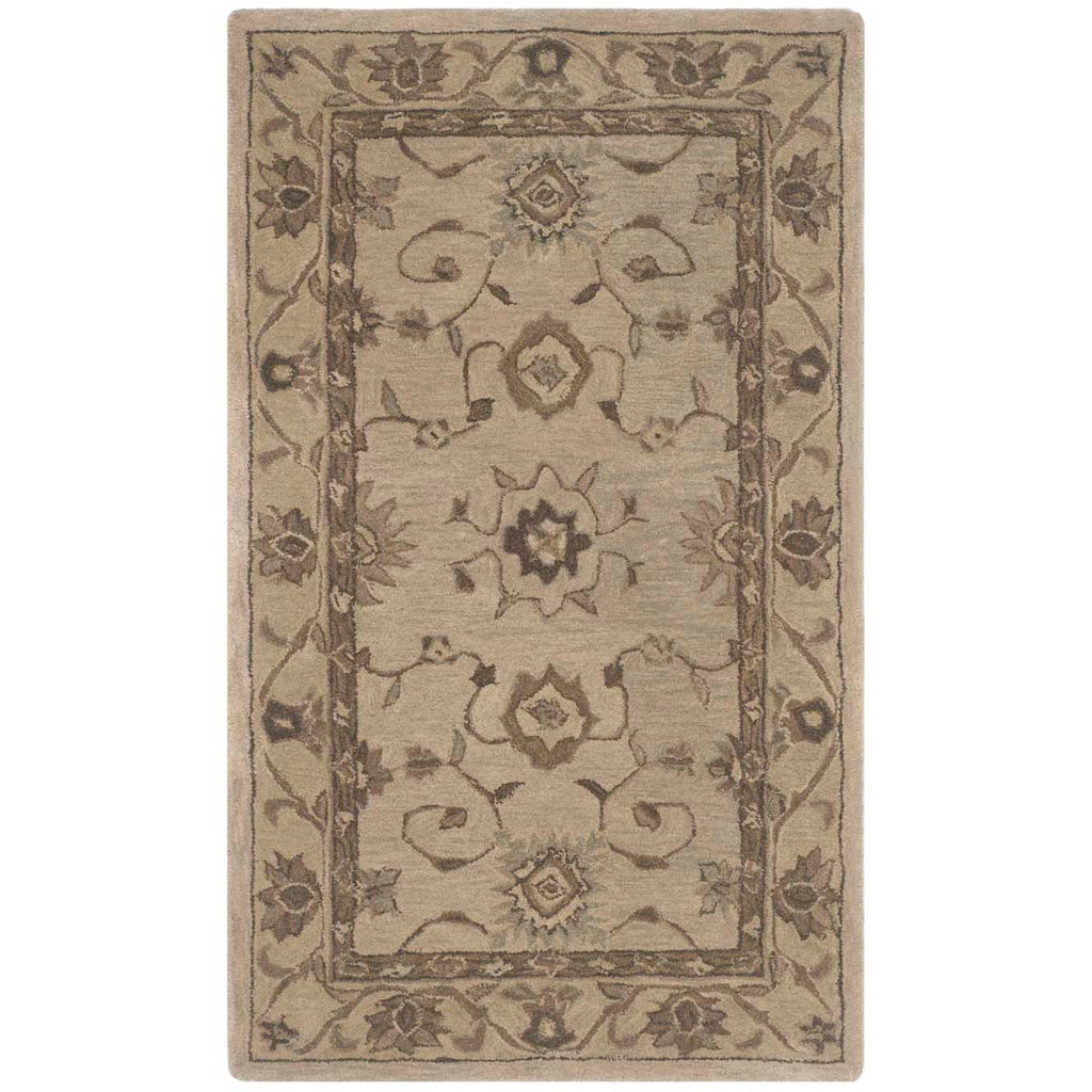 Safavieh Anatolia Rug Collection AN586G - Beige / Beige