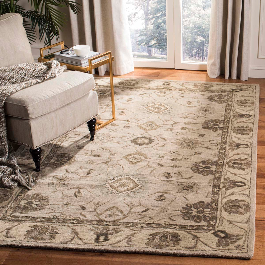 Safavieh Anatolia Rug Collection AN586G - Beige / Beige