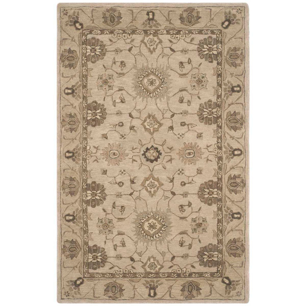 Safavieh Anatolia Rug Collection AN586G - Beige / Beige