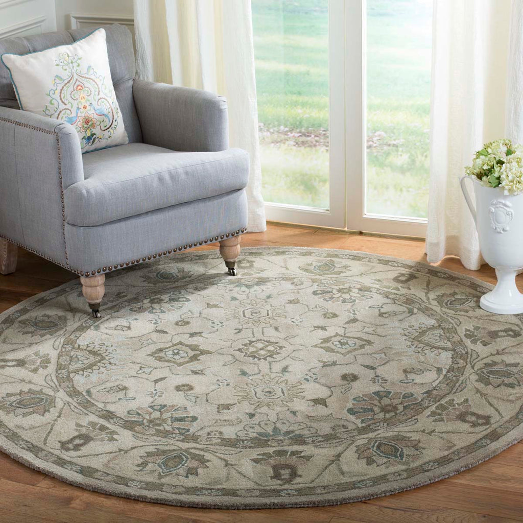 Safavieh Anatolia Rug Collection AN586G - Beige / Beige