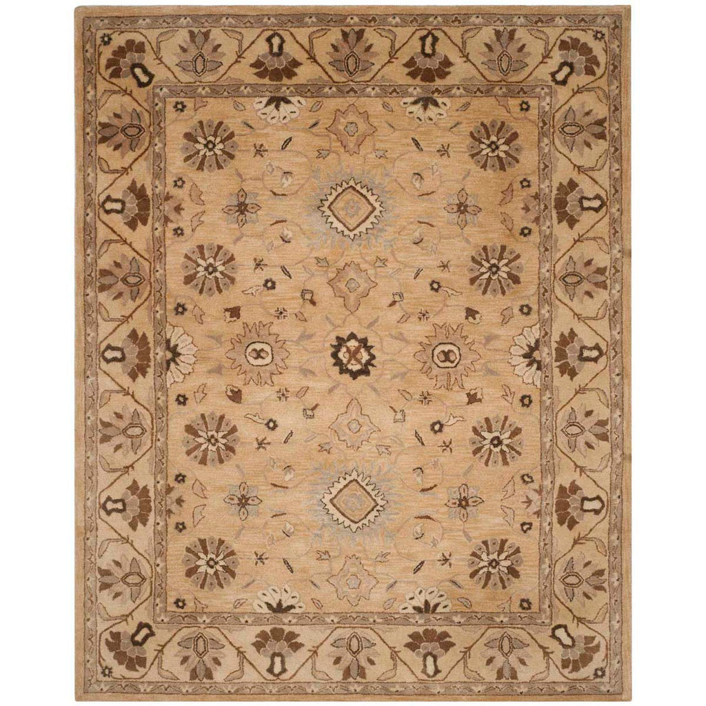 Safavieh Anatolia Rug Collection AN586G - Beige / Beige