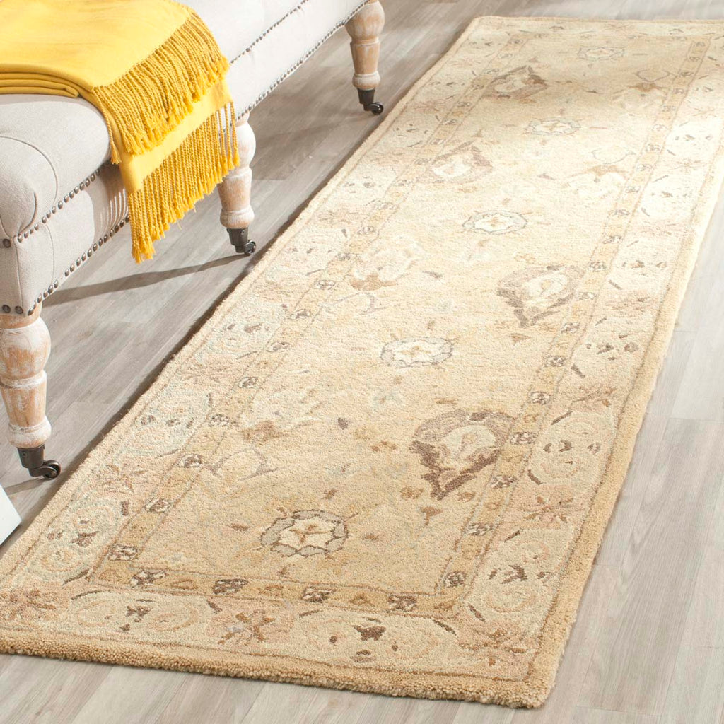 Safavieh Anatolia Rug Collection AN587A - Beige / Beige