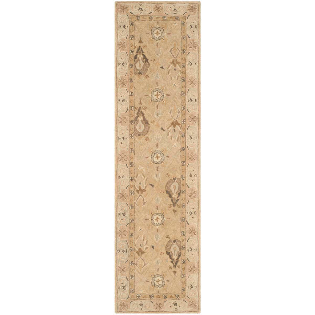 Safavieh Anatolia Rug Collection AN587A - Beige / Beige