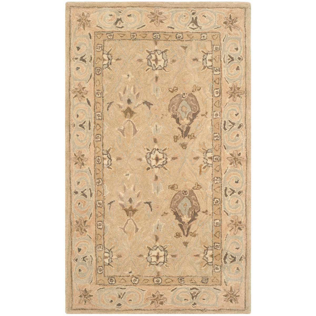 Safavieh Anatolia Rug Collection AN587A - Beige / Beige