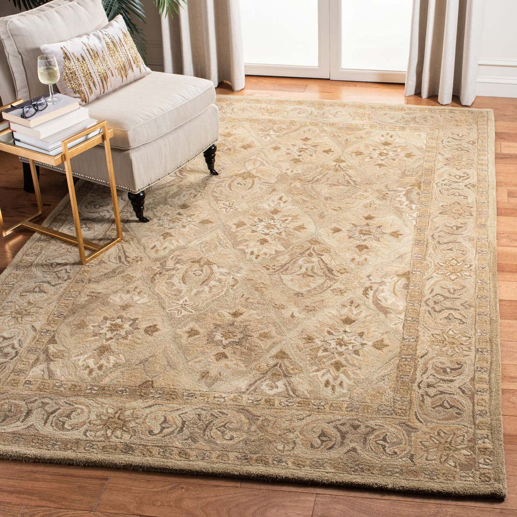 Safavieh Anatolia Rug Collection AN587A - Beige / Beige