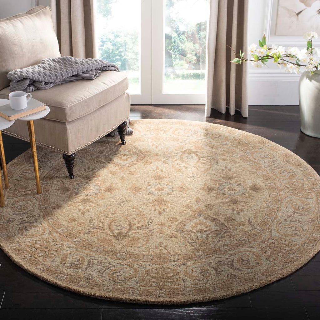 Safavieh Anatolia Rug Collection AN587A - Beige / Beige