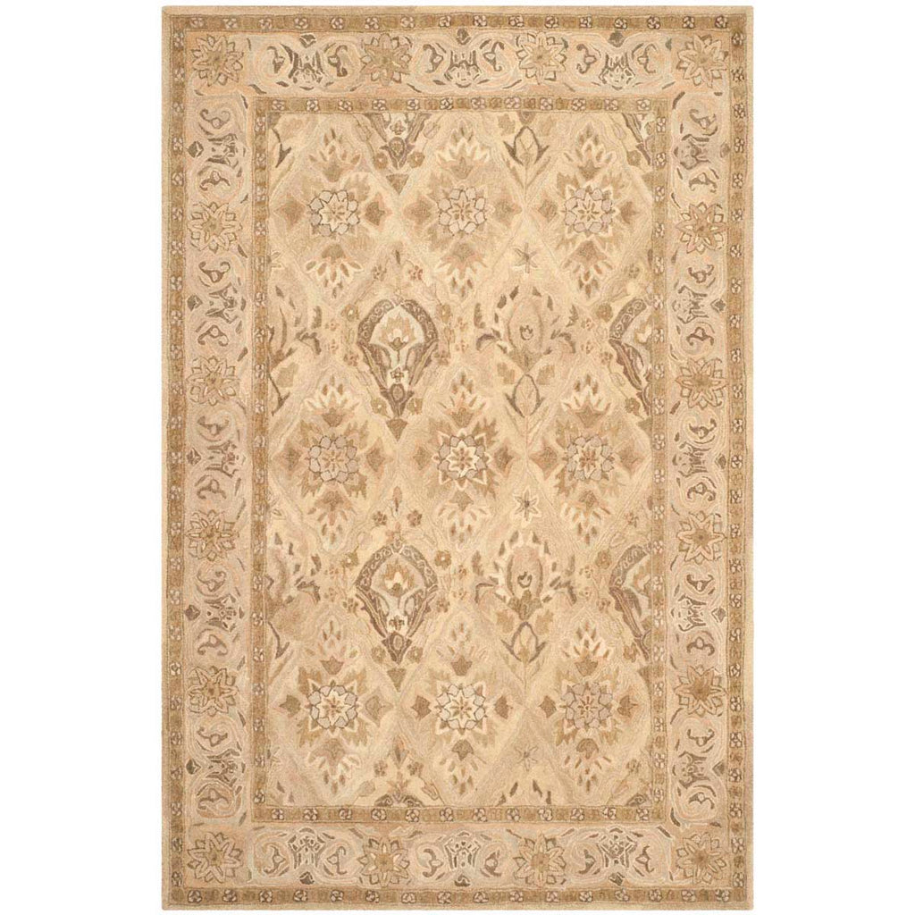 Safavieh Anatolia Rug Collection AN587A - Beige / Beige