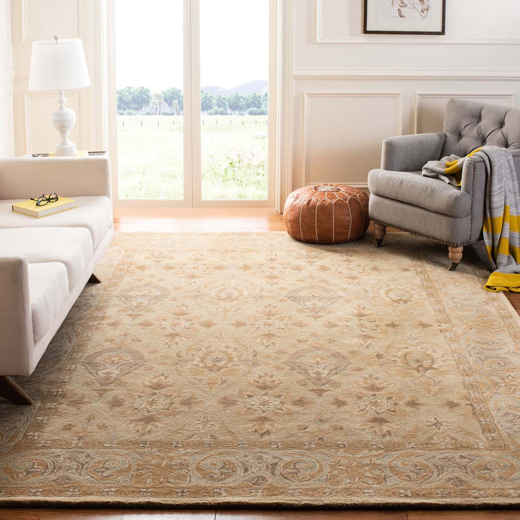 Safavieh Anatolia Rug Collection AN587A - Beige / Beige