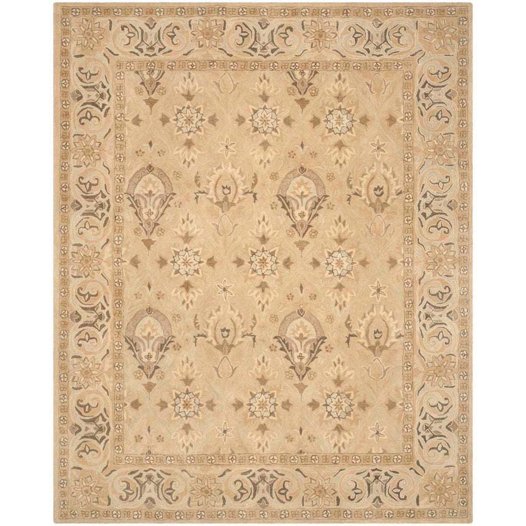 Safavieh Anatolia Rug Collection AN587A - Beige / Beige