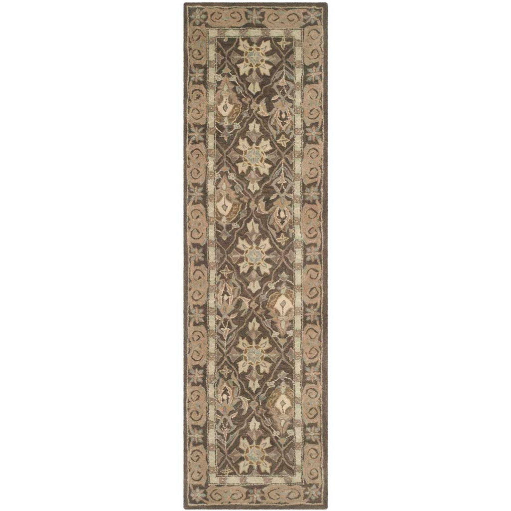 Safavieh Anatolia Rug Collection AN587C - Brown / Beige