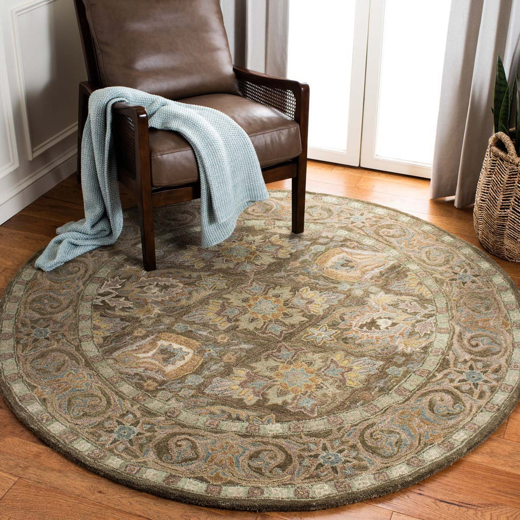 Safavieh Anatolia Rug Collection AN587C - Brown / Beige