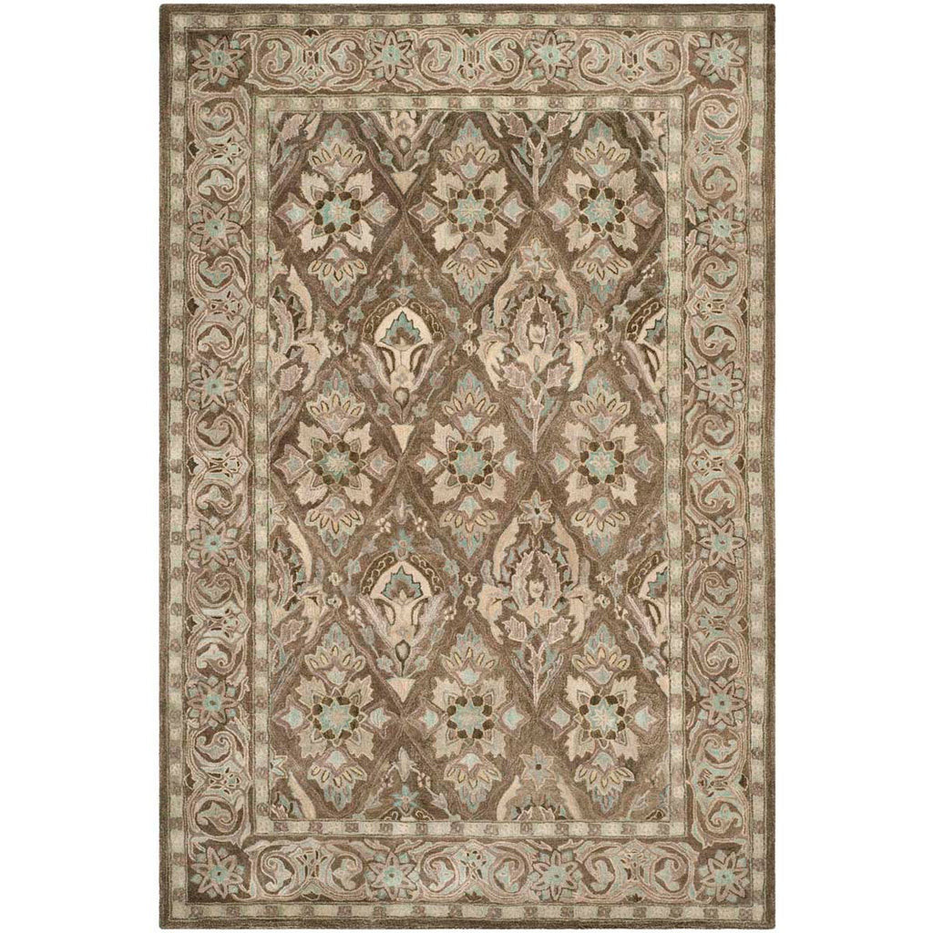 Safavieh Anatolia Rug Collection AN587C - Brown / Beige