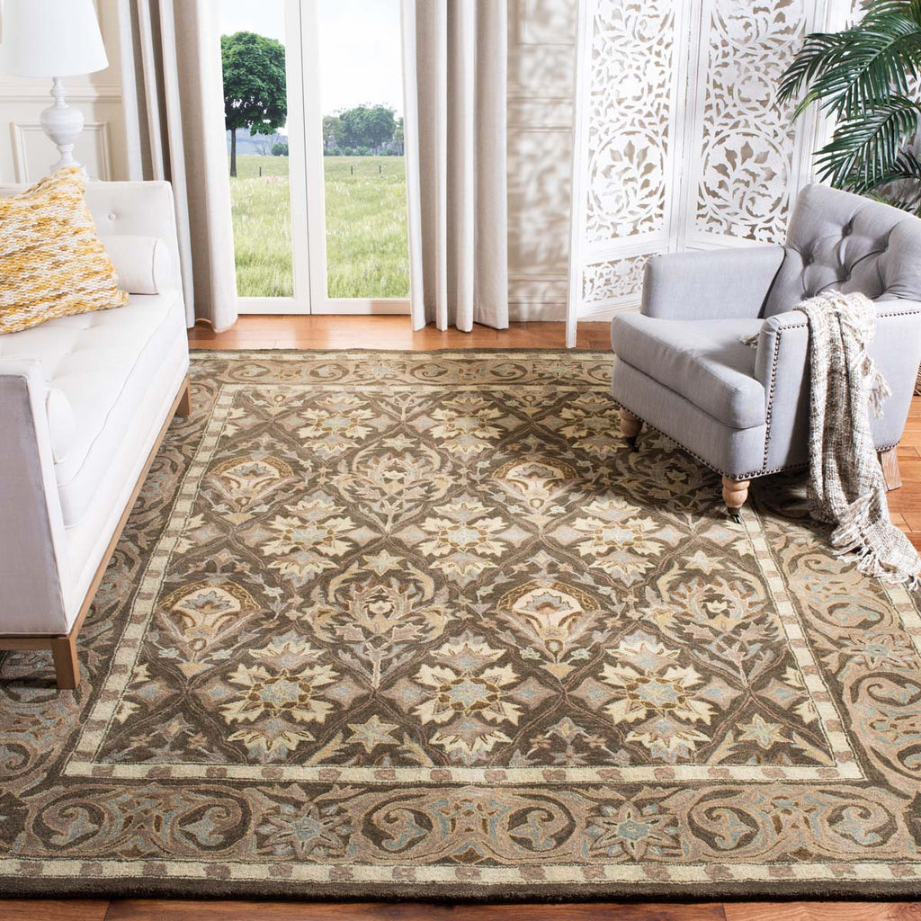 Safavieh Anatolia Rug Collection AN587C - Brown / Beige