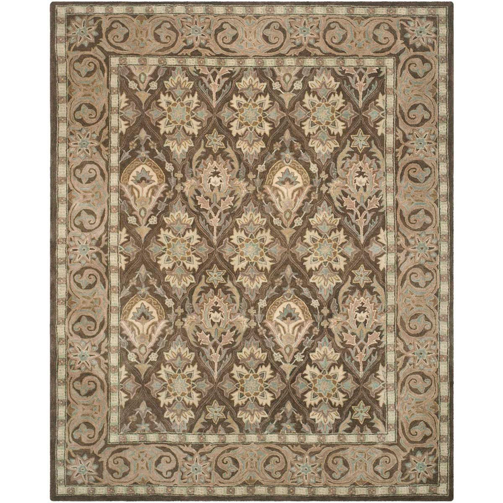 Safavieh Anatolia Rug Collection AN587C - Brown / Beige