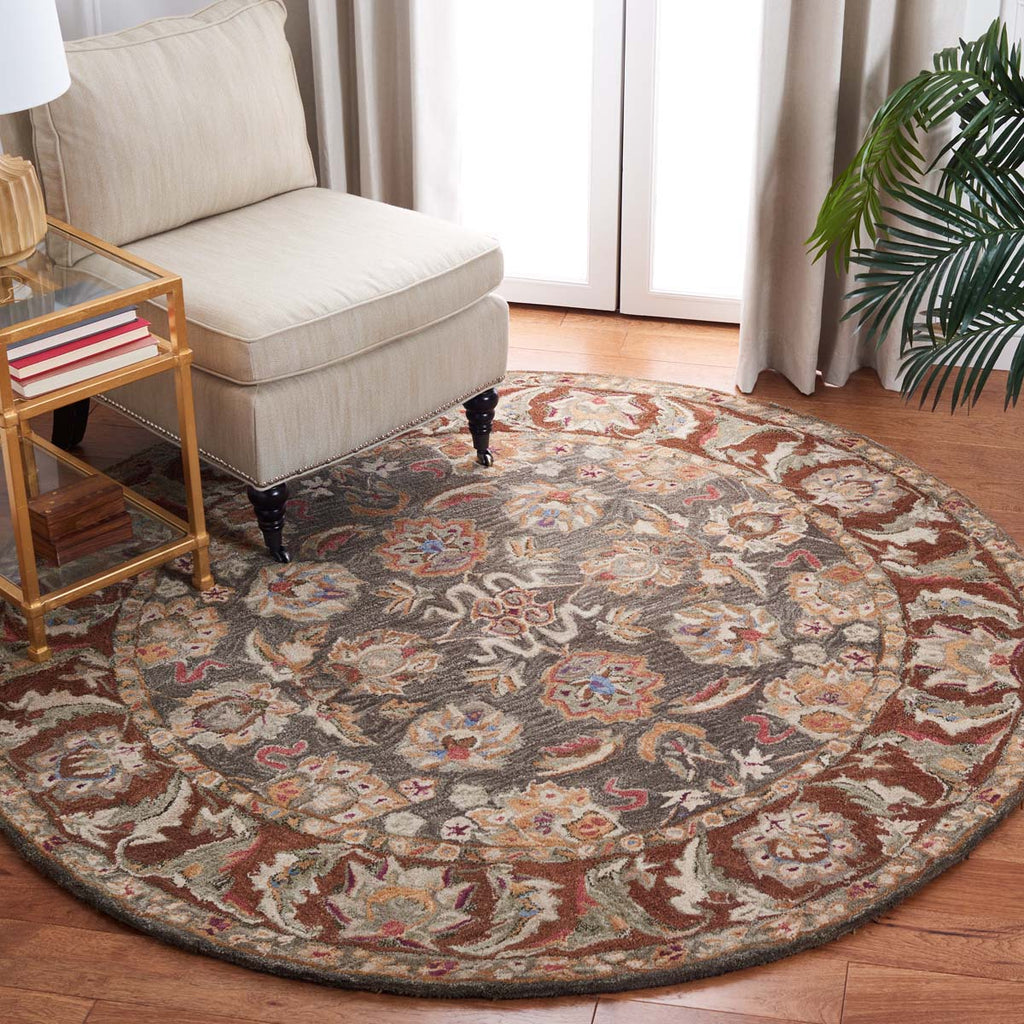 Safavieh Anatolia Rug Collection AN615B - Dark Brown / Gold