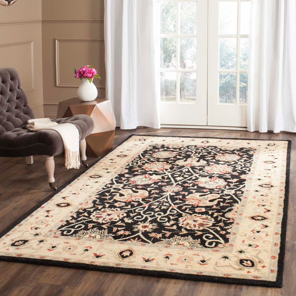 Safavieh Antiquity Rug Collection AT21B - Black