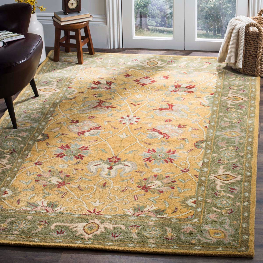 Safavieh Antiquity Rug Collection AT21C - Gold
