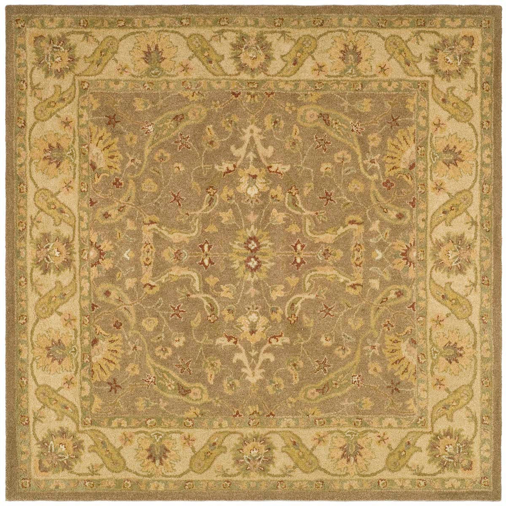 Safavieh Antiquity Rug Collection AT311A - Brown / Gold