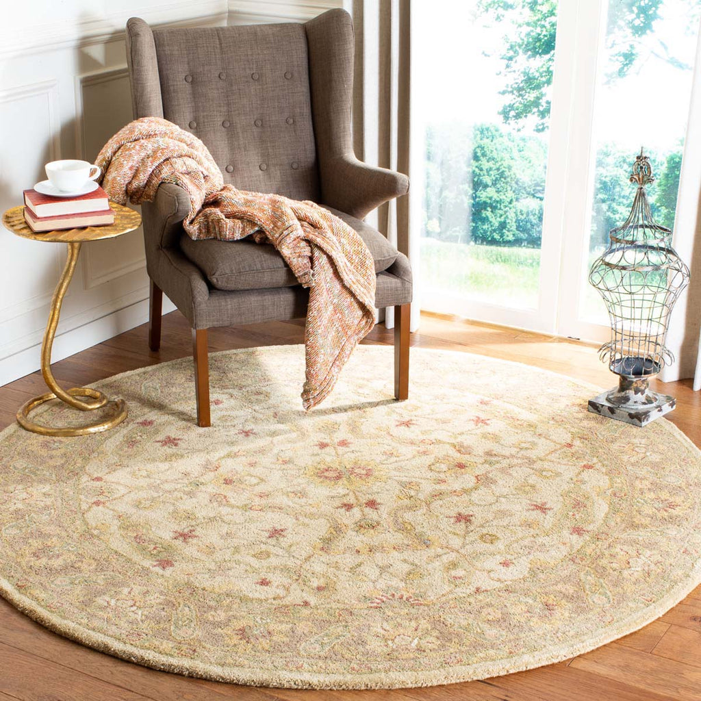 Safavieh Antiquity Rug Collection AT311C - Ivory / Brown