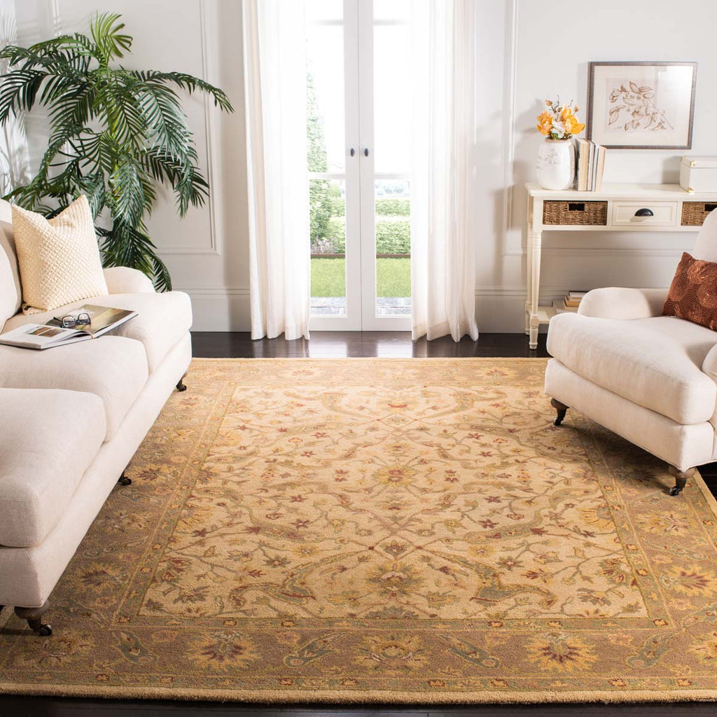 Safavieh Antiquity Rug Collection AT311C - Ivory / Brown