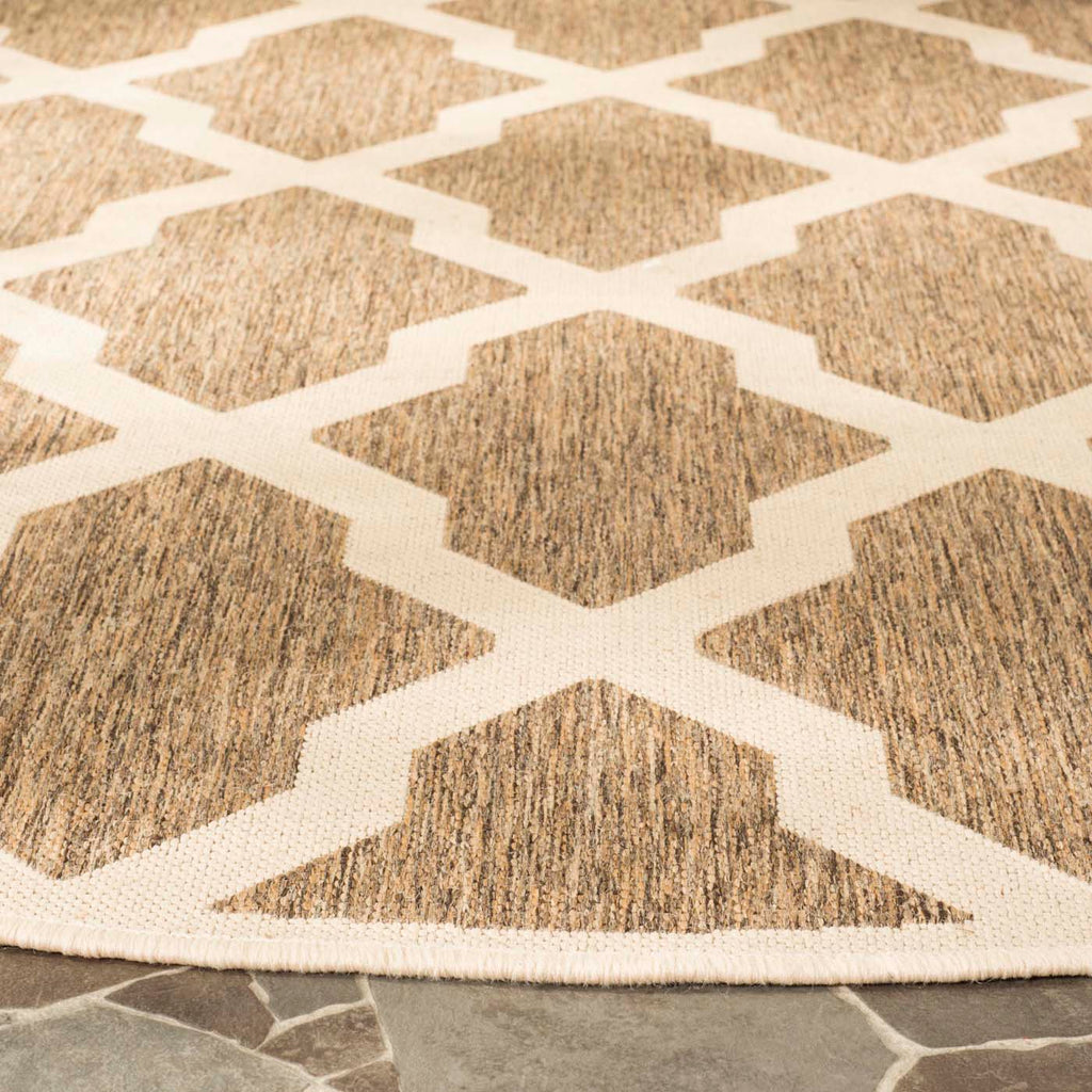 Safavieh Beach House Rug Collection: BHS122D - Beige / Cream