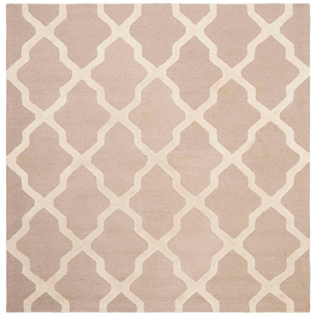 Safavieh Cambridge Rug Collection CAM121J - Beige / Ivory