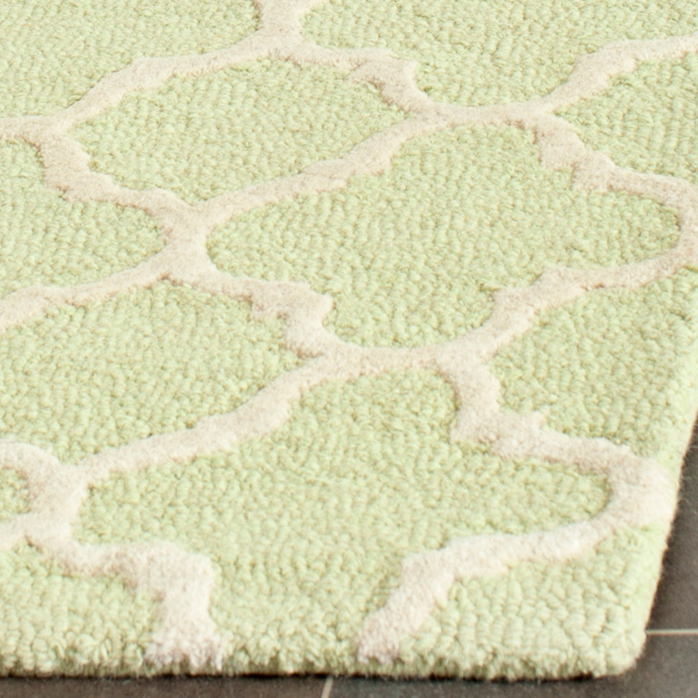 Contemporary Area Rug, CAM130B, 120 X 180 cm in Light Green / Ivory