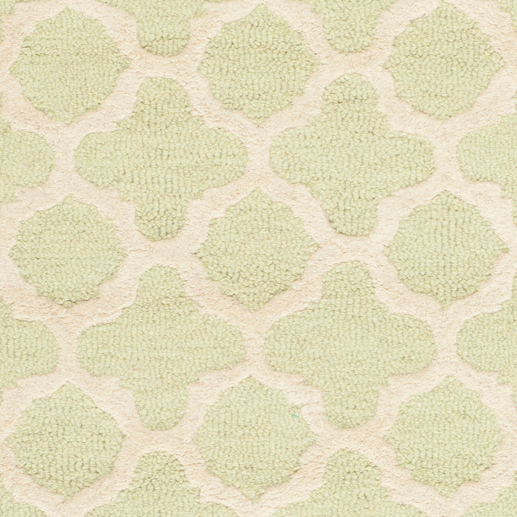 Contemporary Accent Rug, CAM130B, 60 X 91 cm in Light Green / Ivory