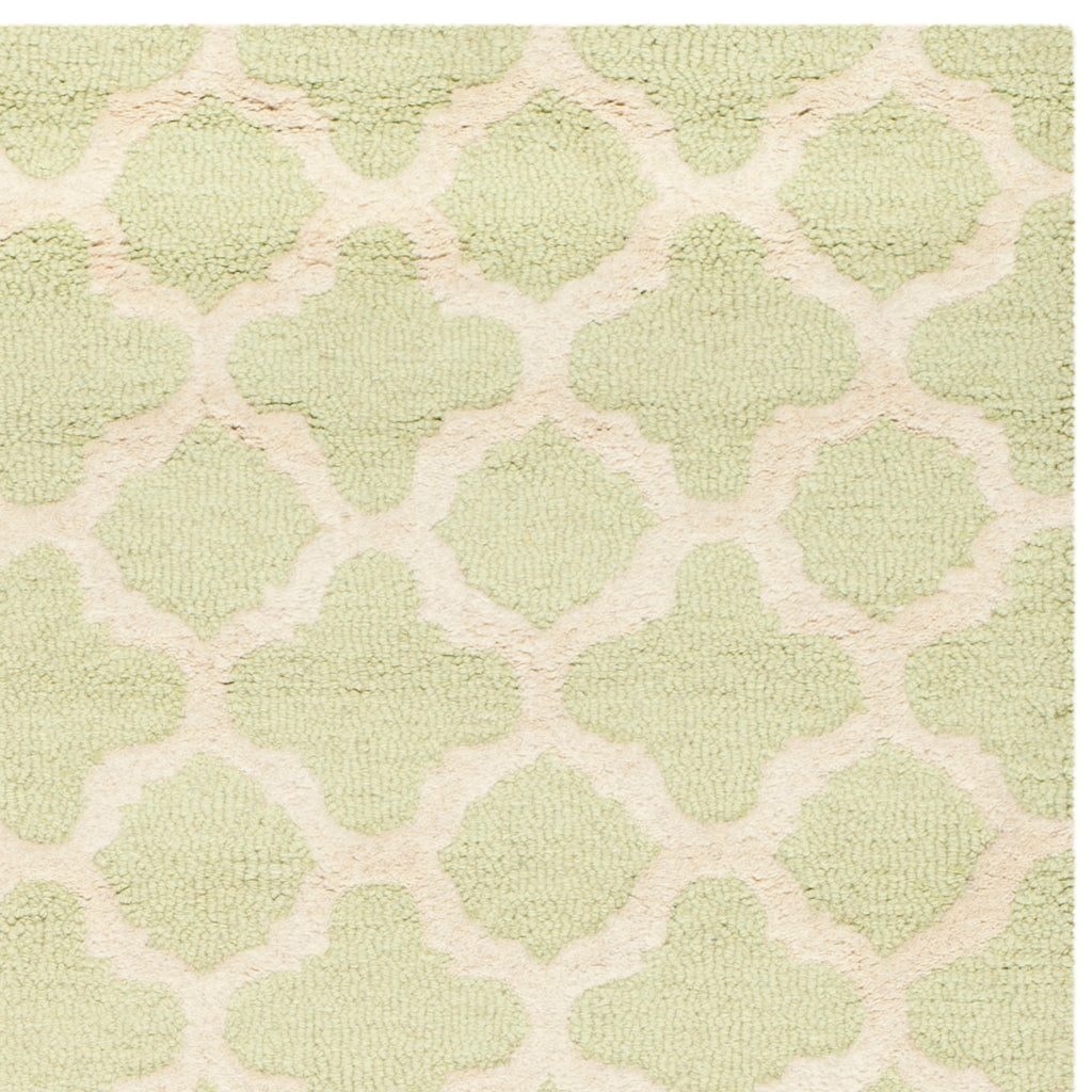 Contemporary Accent Rug, CAM130B, 60 X 91 cm in Light Green / Ivory